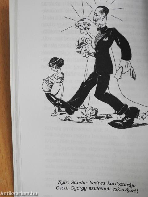 "én onnan is a zöld mezőt látom" (dedikált példány)