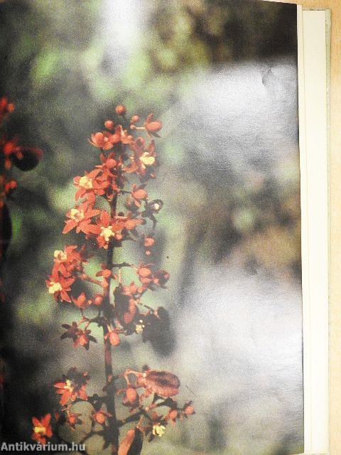 Kubában térképeztünk