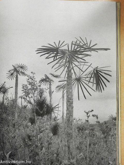 Kubában térképeztünk