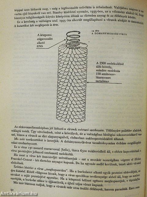 Az élet regénye
