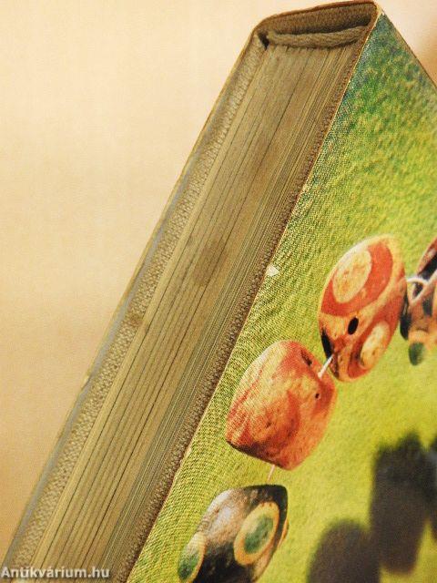 A népvándorláskor művészete Magyarországon