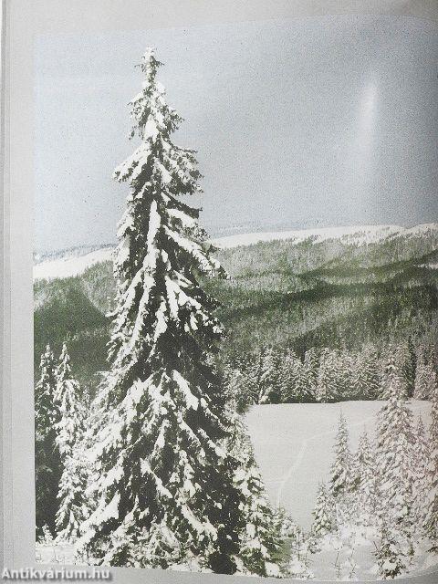 Erdély, tél a havason