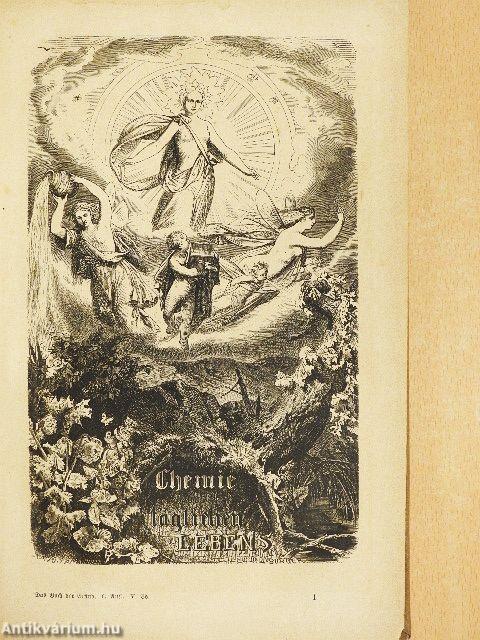 Die Chemie des täglichen Lebens (gótbetűs)