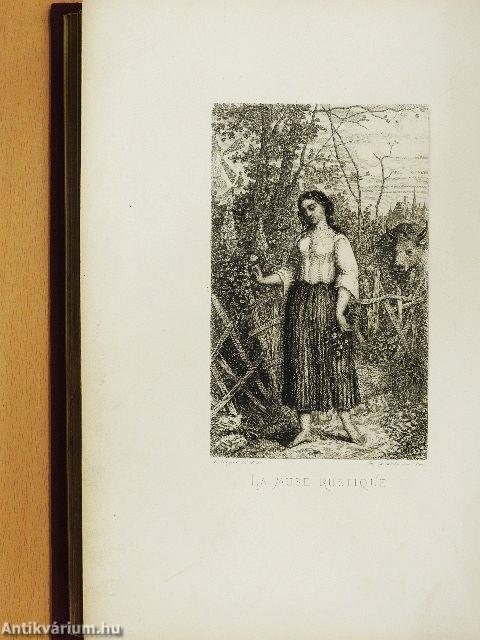 Les légendes de la jeunesse