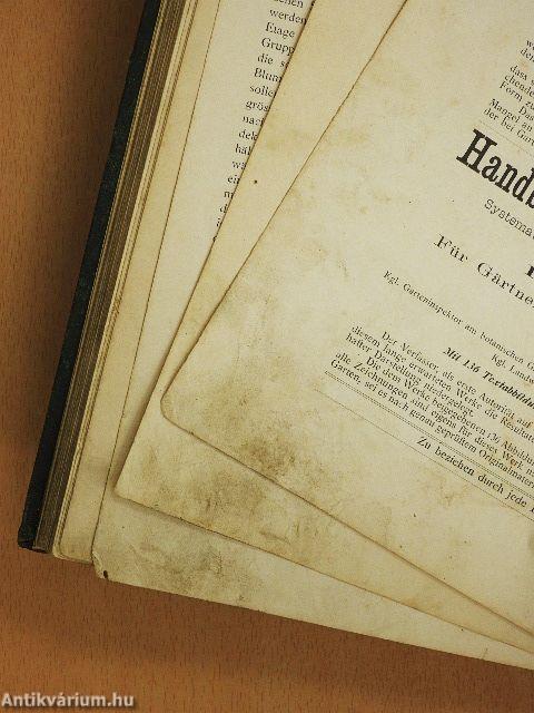 Die moderne Teppichgärtnerei