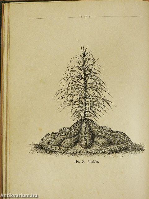 Die moderne Teppichgärtnerei