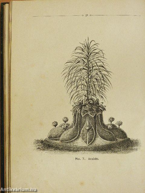 Die moderne Teppichgärtnerei