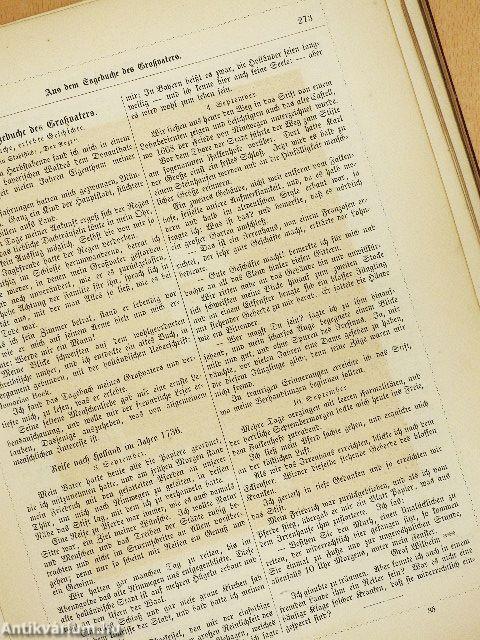 Payne's Universum und Buch der Kunst 7. (gótbetűs)