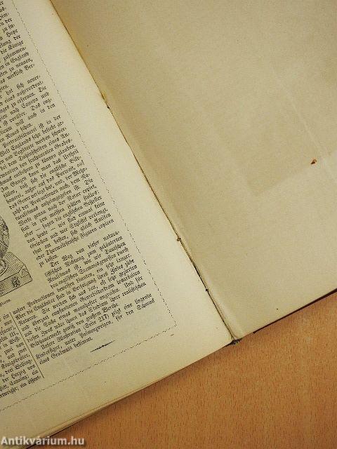 Payne's Universum und Buch der Kunst 7. (gótbetűs)