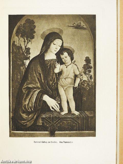 Die Madonna