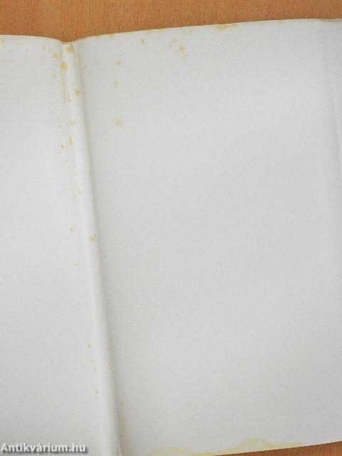 Reisetagebuch aus Ägypten