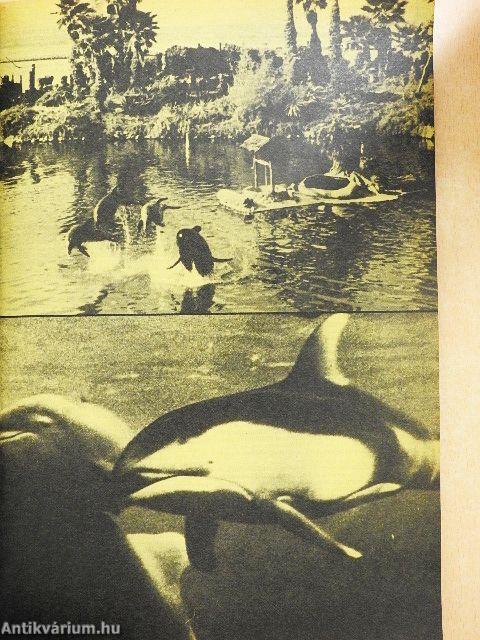 IPM 1984. jubileumi különszám 