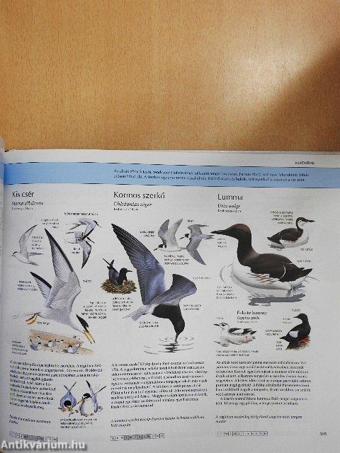 Természetbarátok kézikönyve