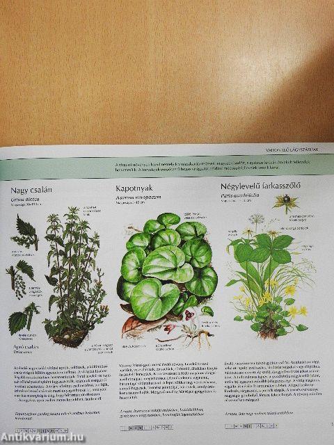 Természetbarátok kézikönyve