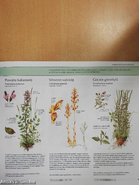 Természetbarátok kézikönyve