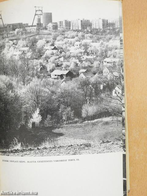 Tisztelet Komlónak! (aláírt példány)