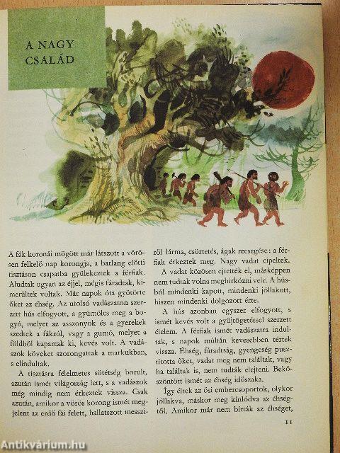 Évezredek története