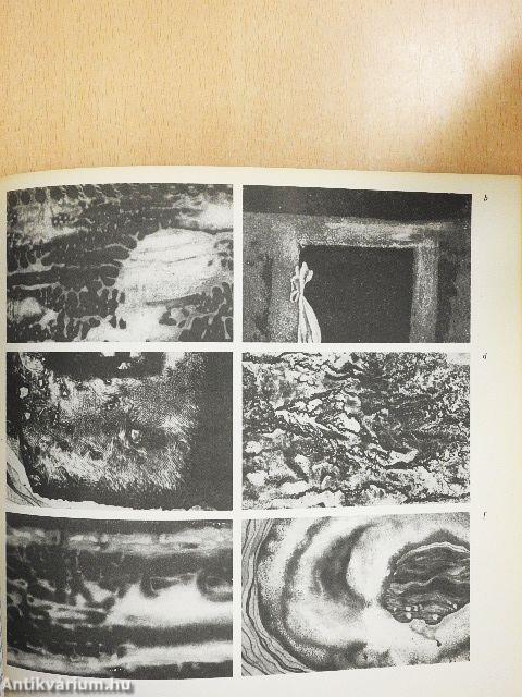 Rézmetszet, rézkarc