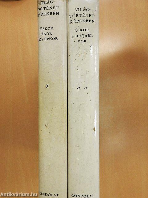 Világtörténet képekben I-II.