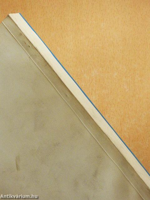 Történelmi kislexikon