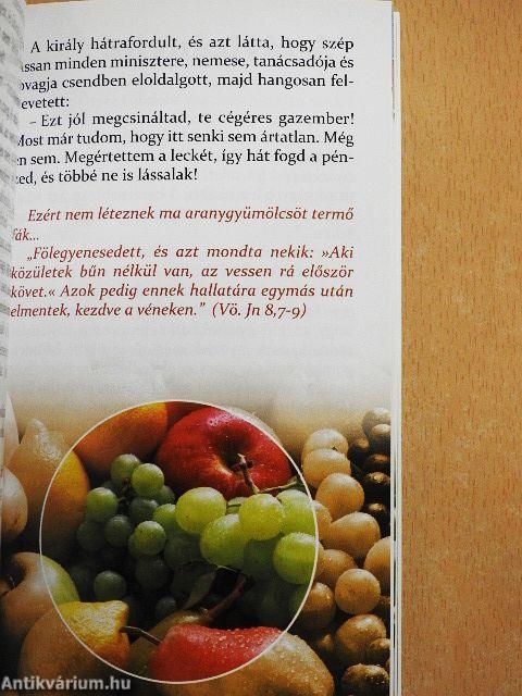 Mindig lesz egy új nap