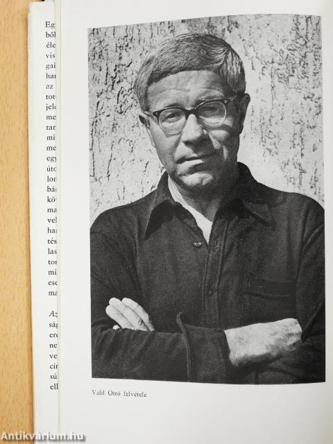 Általában hallgatunk (dedikált példány)