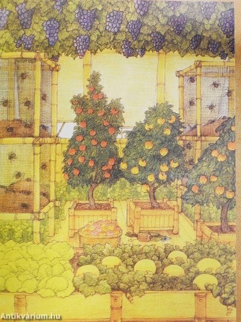 Léghajóval a világ körül