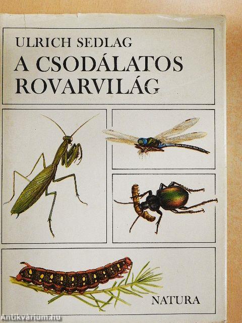 A csodálatos rovarvilág