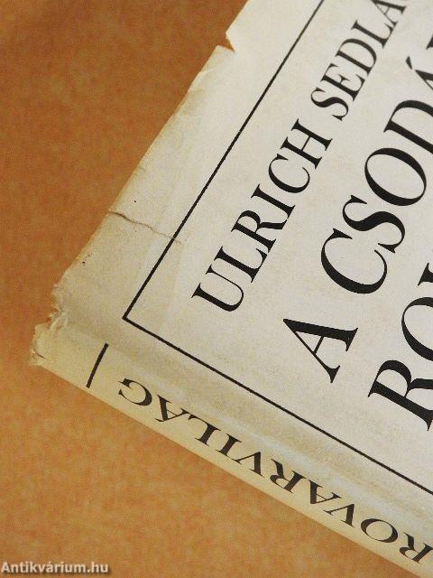 A csodálatos rovarvilág