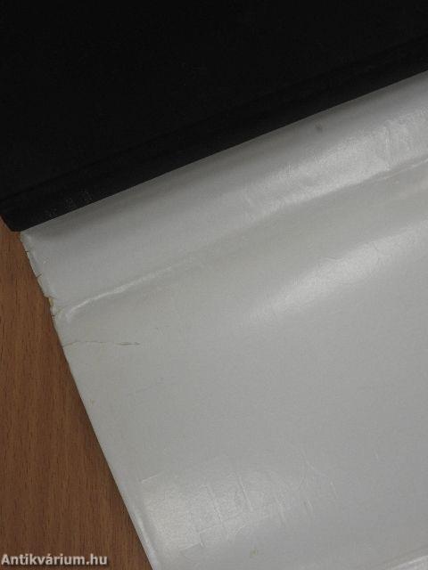 Általában hallgatunk (dedikált példány)