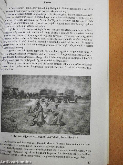 Az álmodozó I.