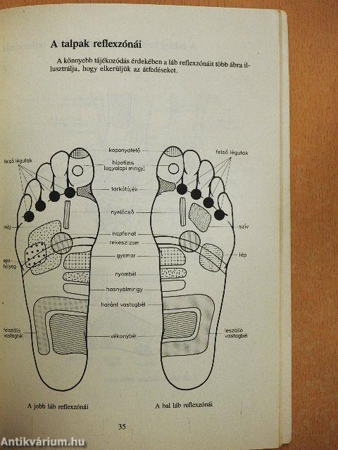 Reflexzóna-masszázs mindenkinek