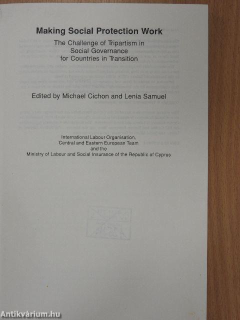 Making Social Protection Work