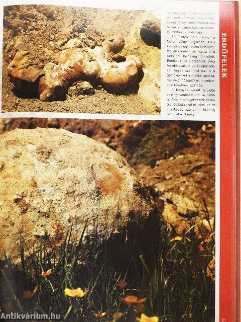 Erdély száz csodája
