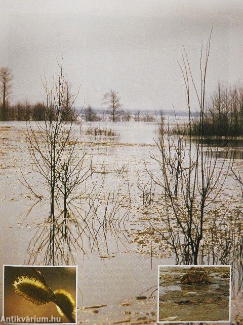 Durrell a Szovjetunióban