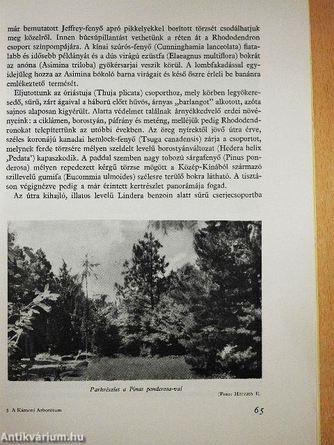 A Kámoni Arborétum