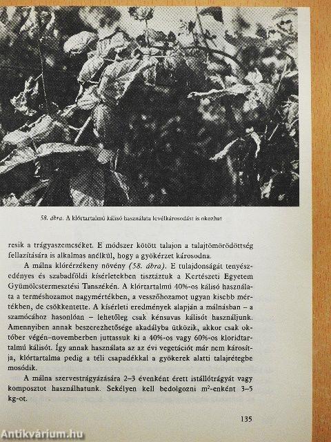 Bogyósgyümölcsűek