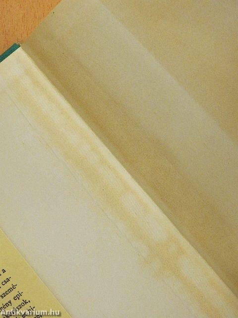 Tolvaj volt az apám