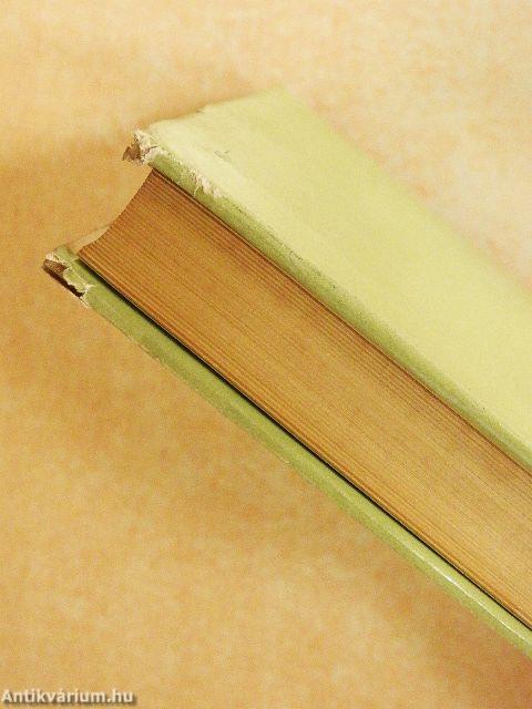 A feleségem története