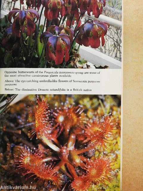 Carnivorous plants