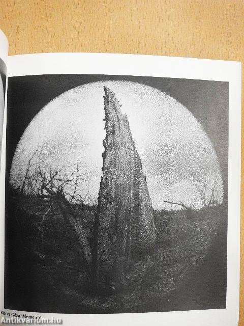 VI. MAFOSZ Szalon Szombathely 1989