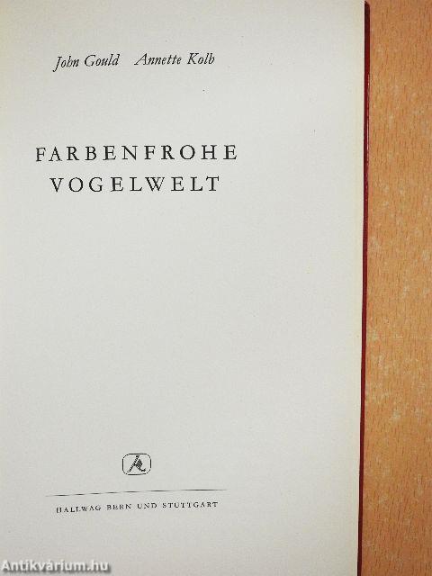 Farbenfrohe Vogelwelt