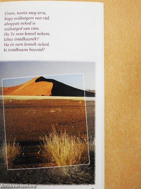 Olykor elég egy napsugár