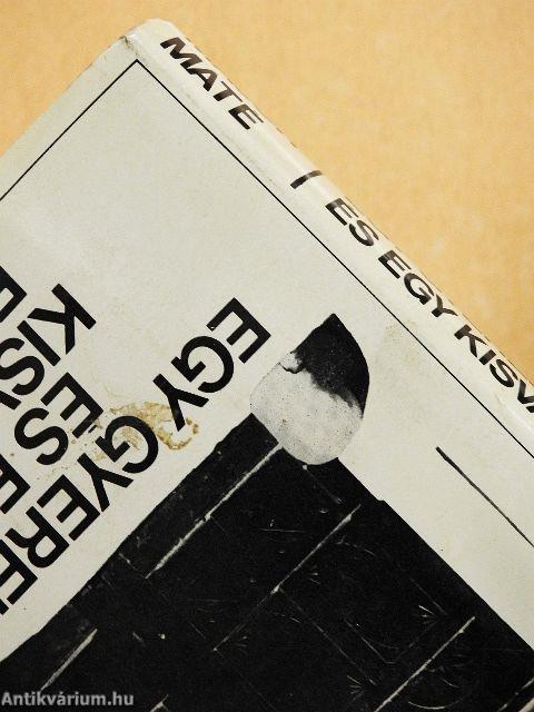 Egy gyerekkor és egy kisváros emléke