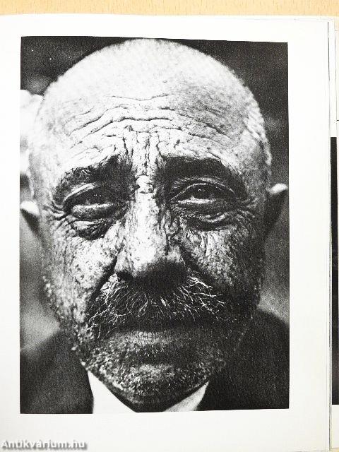 Kálmán Kata munkássága