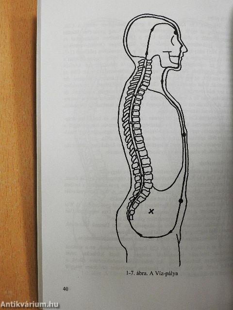 A Nyolc Brokáttekercs