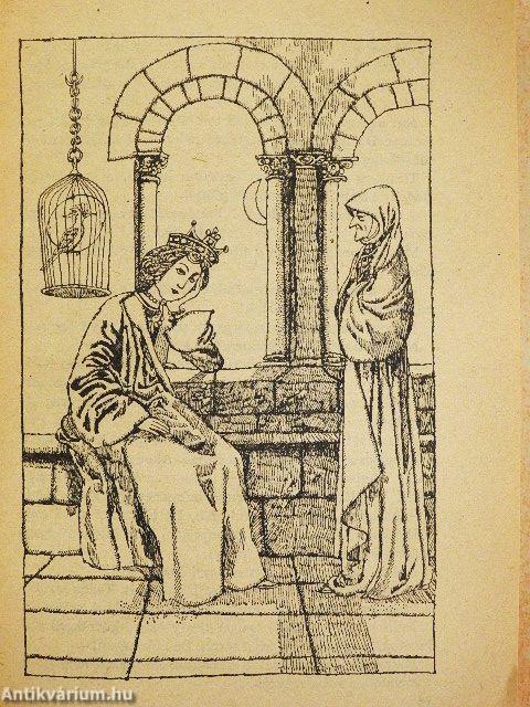 Szépen szálló sólyommadár