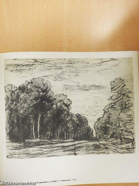 A magyar rajzművészet