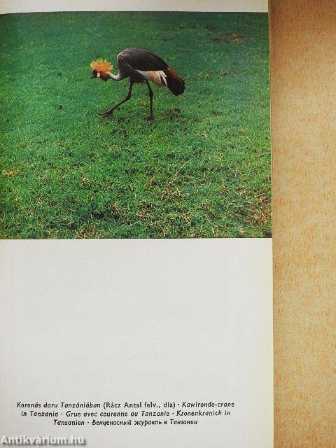 Vadászati világkiállítás katalógus 1971