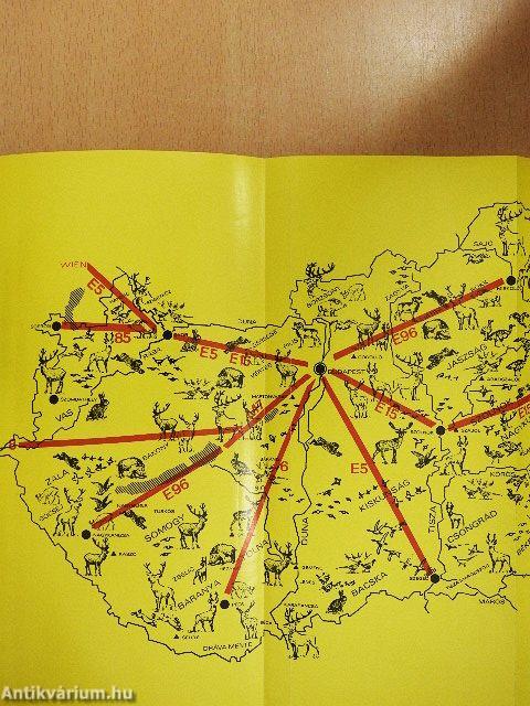 Vadászati világkiállítás katalógus 1971